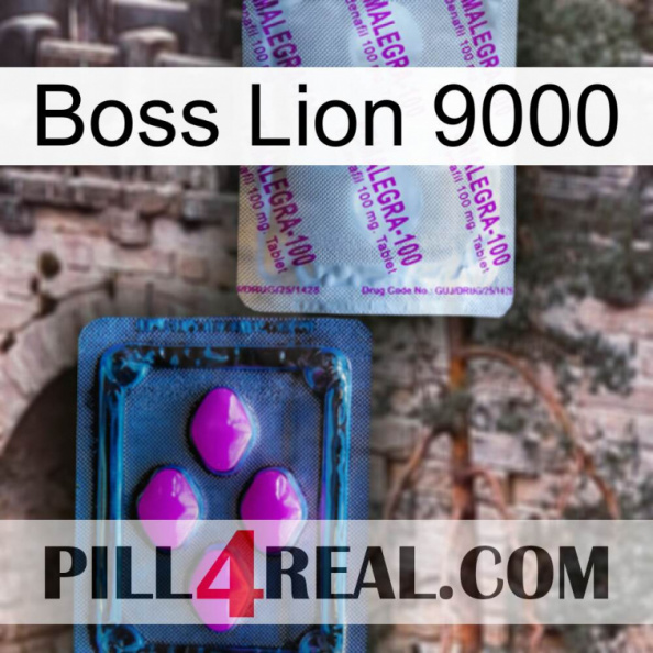 Boss Lion 9000 37.jpg